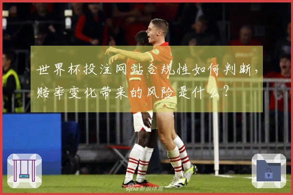 世界杯投注网站合规性如何判断,赔率变化带来的风险是什么?